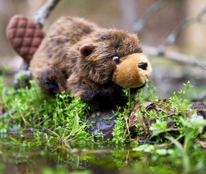Chip the Beaver Plush