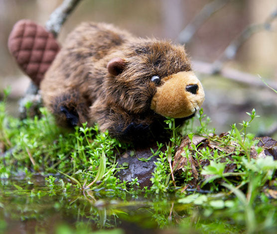 Chip the Beaver Plush