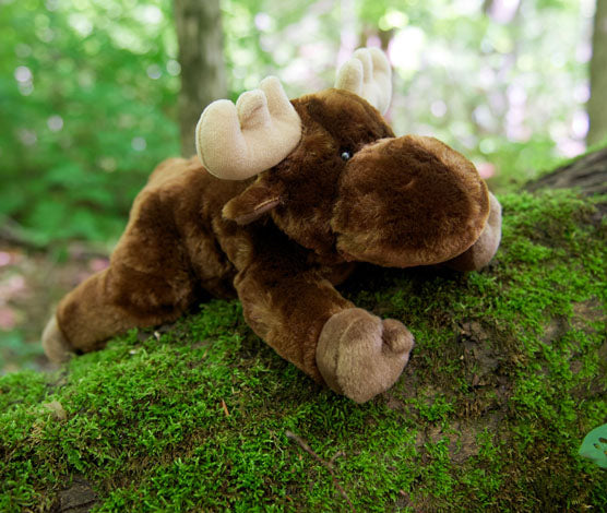 Marty the Moose Plush