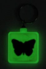 Load image into Gallery viewer, Monarch - Kawartha Highlands Outdoor Keychains
