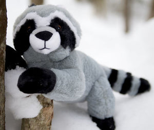 Raine the Raccoon Plush