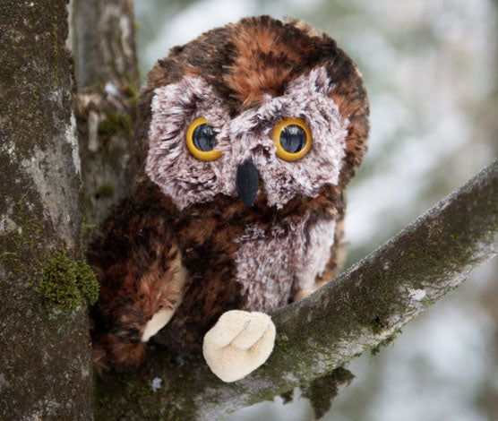 Sammy the Saw-whet Owl Plush