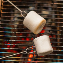 Load image into Gallery viewer, Extendable Roasting Forks - 2 Pack
